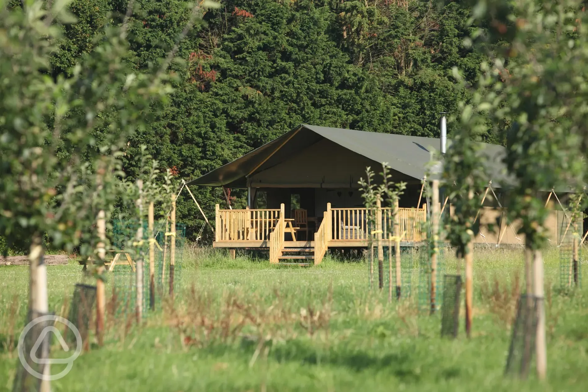 Safari tent