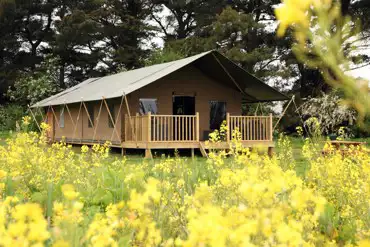 Safari tent