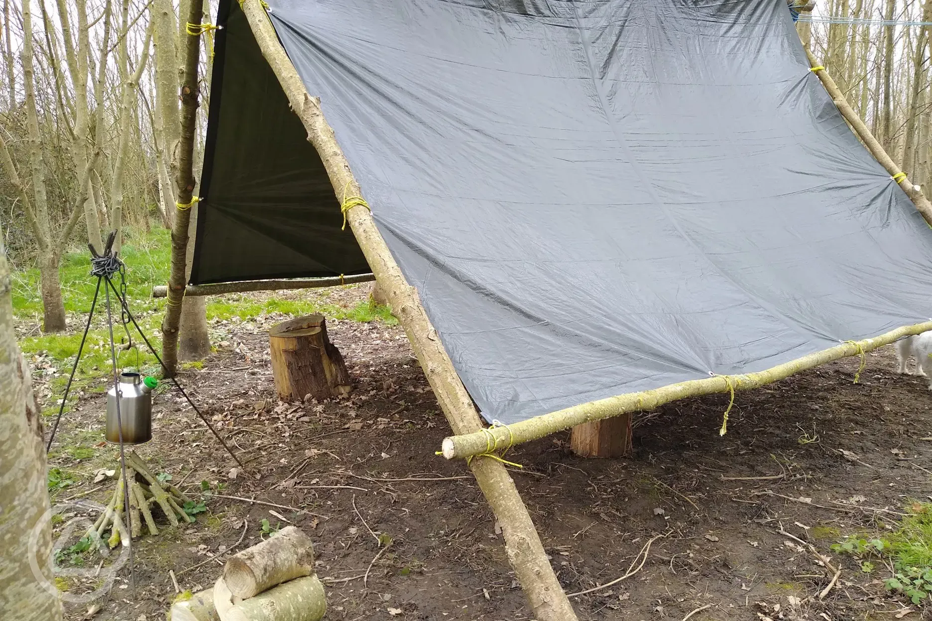 A frame tarp shelter setup and ready.