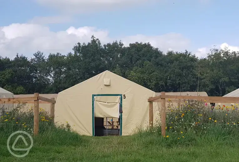Bunk ready tent