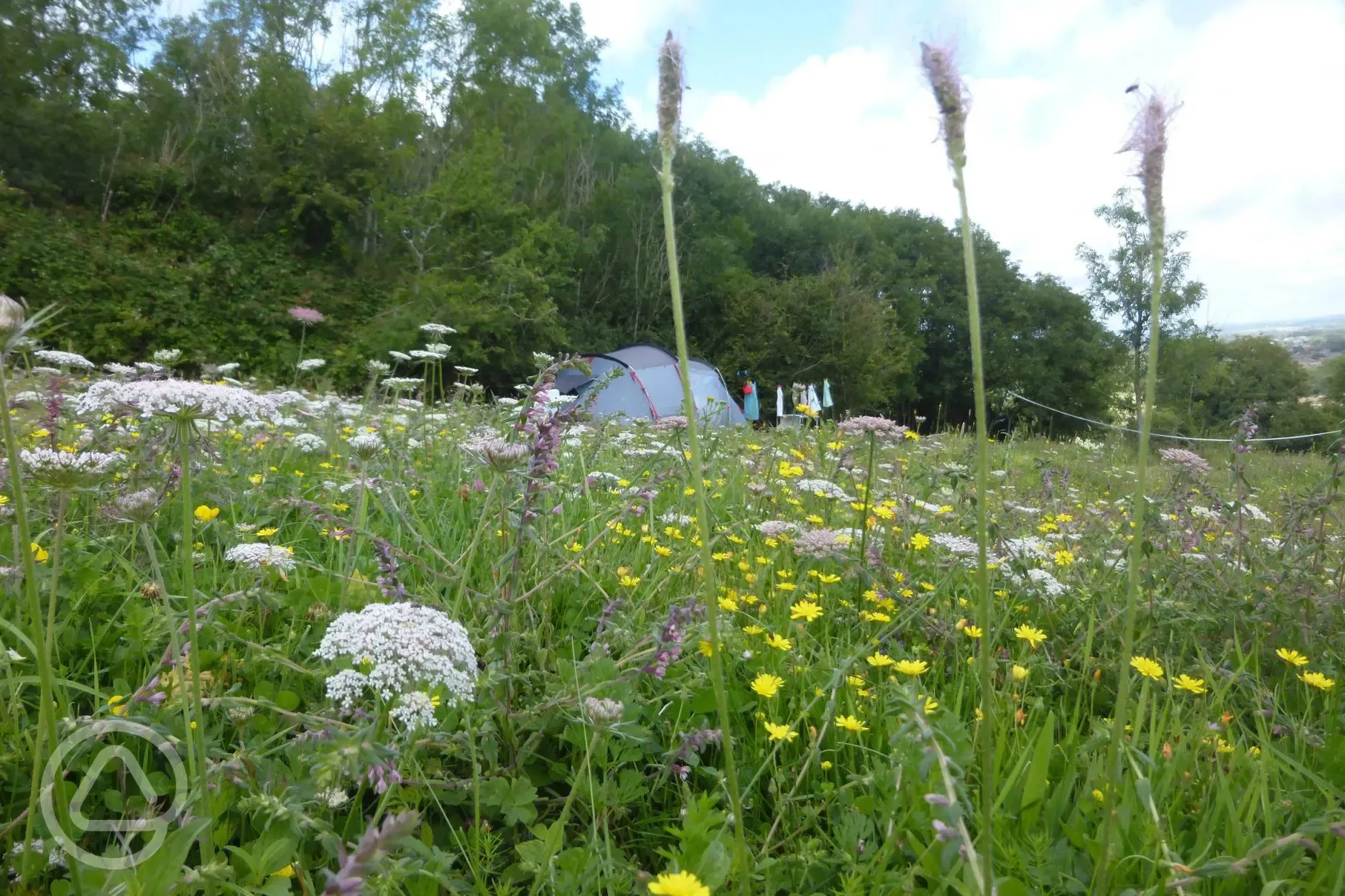 Non electric wild camping pitches