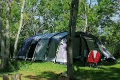 Non electric wild camping pitches - Badger's Corner