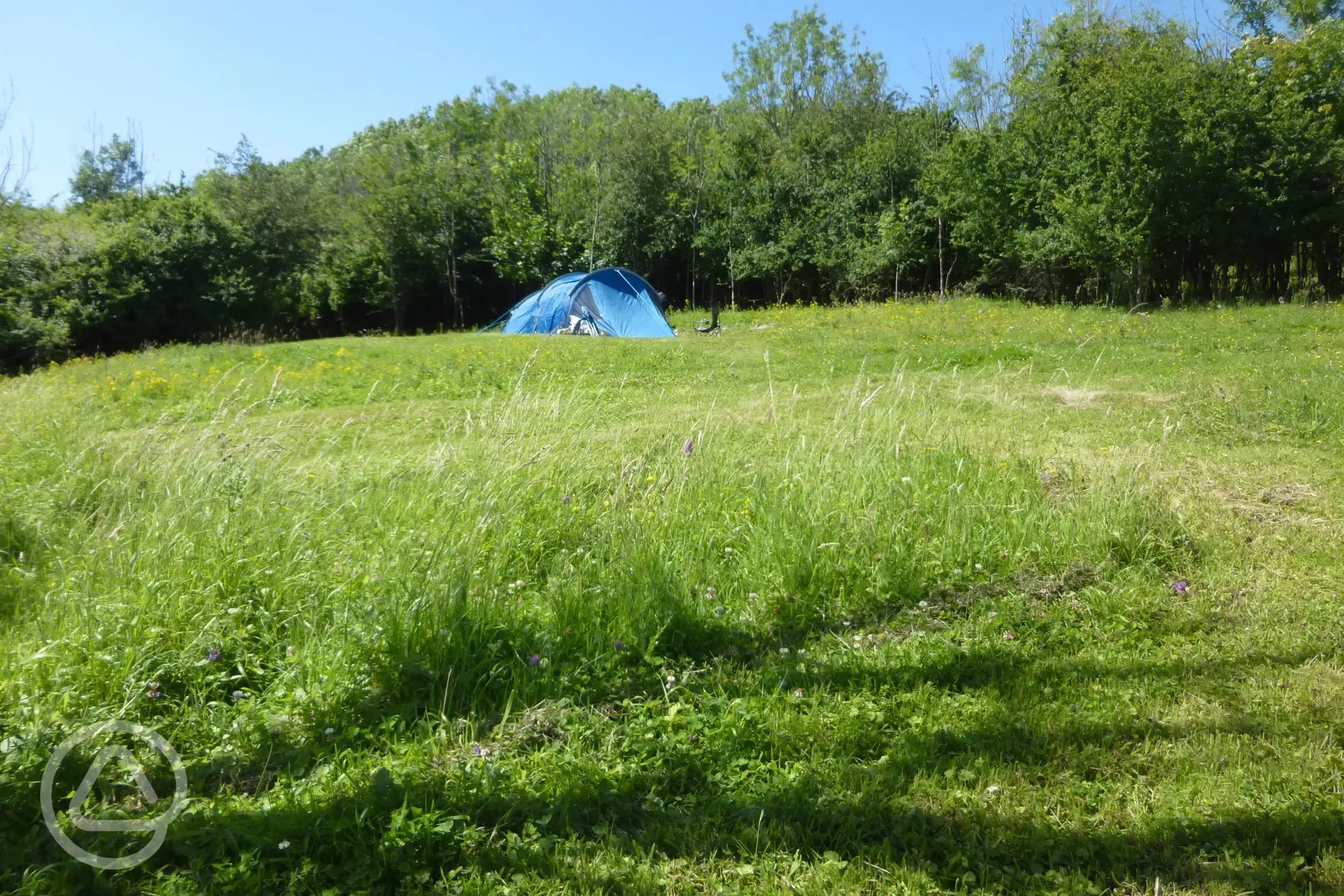 Non electric wild camping pitches - Crow's perch