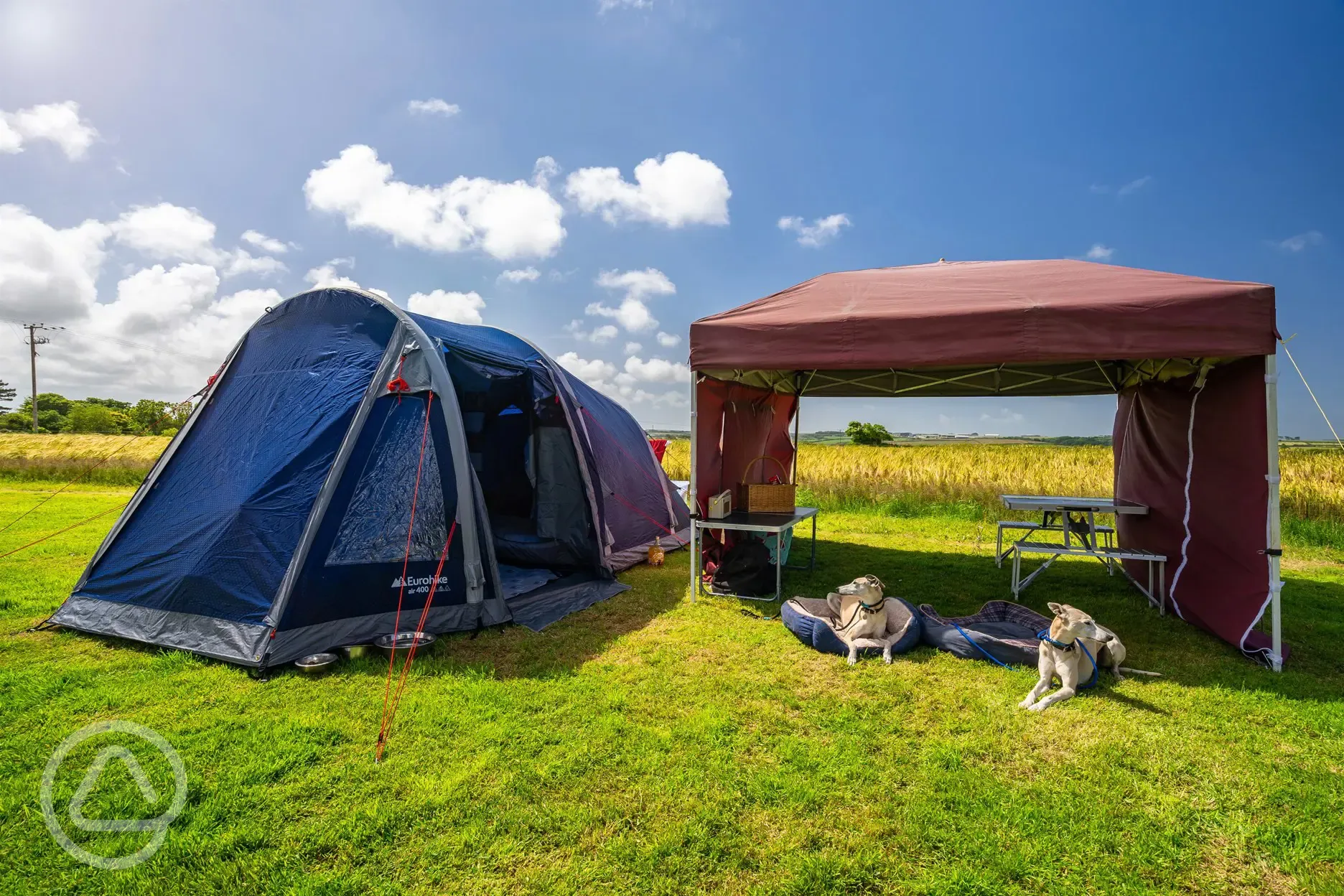 Dog friendly non electric grass pitches