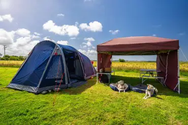 Dog friendly non electric grass pitches