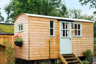 Witherdon Wood Shepherd's Hut, Beaworthy, Devon
