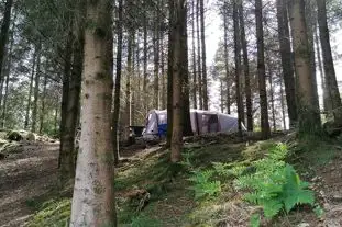 Noble Wood Camping, Lindale, Grange-Over-Sands, Cumbria (5.2 miles)