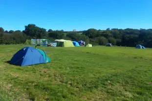 Wonders Corner Camping, Langtree, Torrington, Devon (8.2 miles)