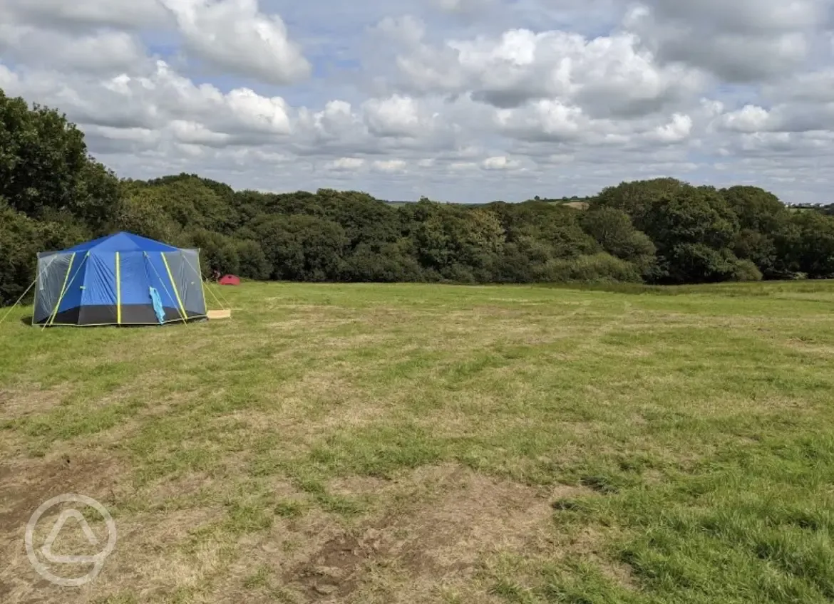 Tent pitch