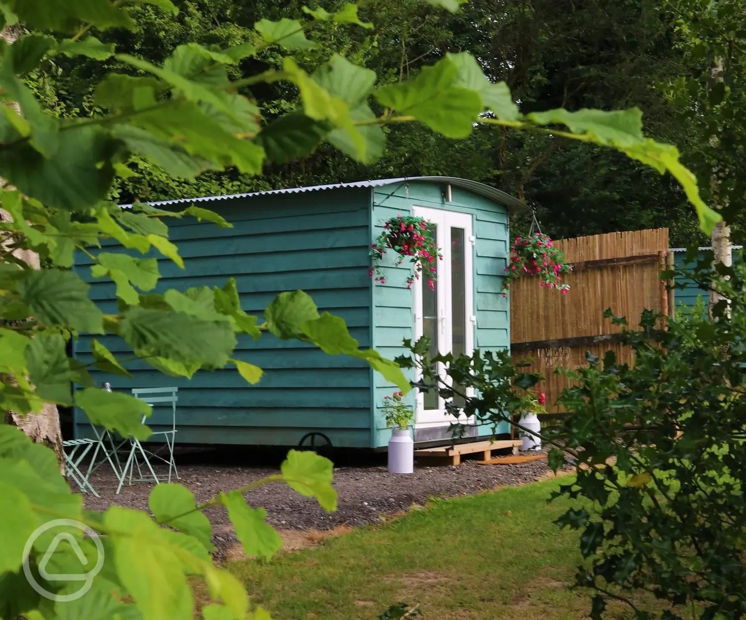 Buzzard shepherd's hut