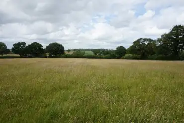 The camping meadow with views over Dorset farmland