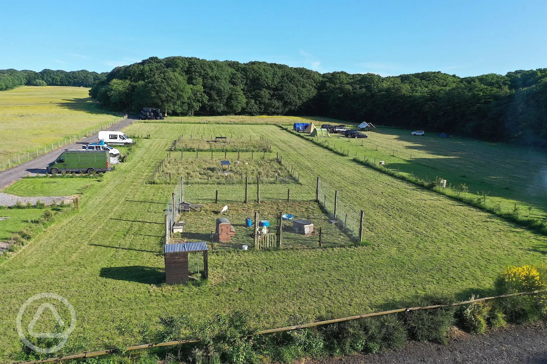 Electric grass tent pitches with a view of animal coups