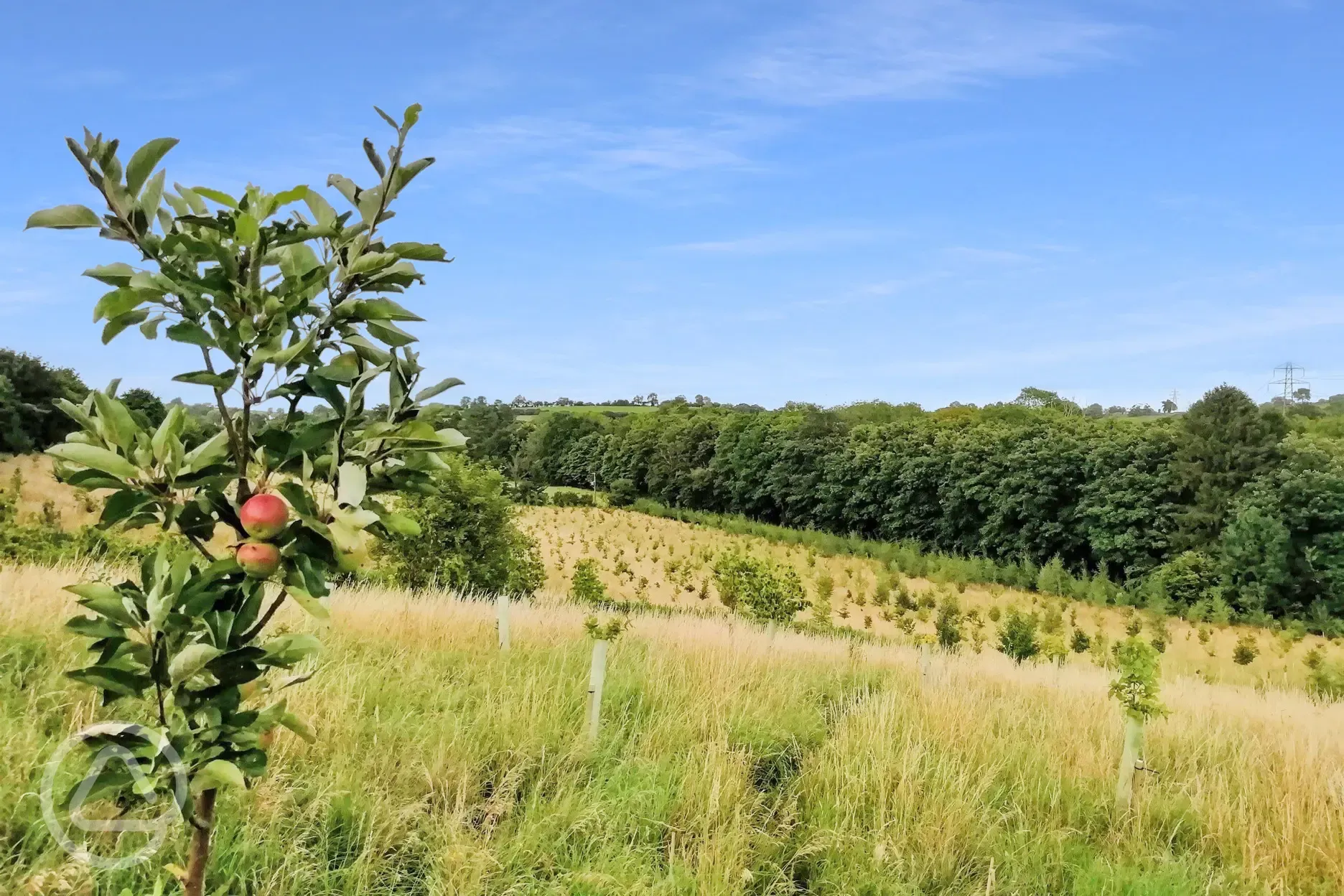 View of the site