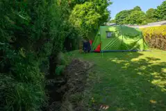 Electric grass tent pitches