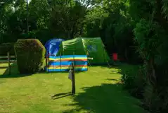 Electric grass tent pitches