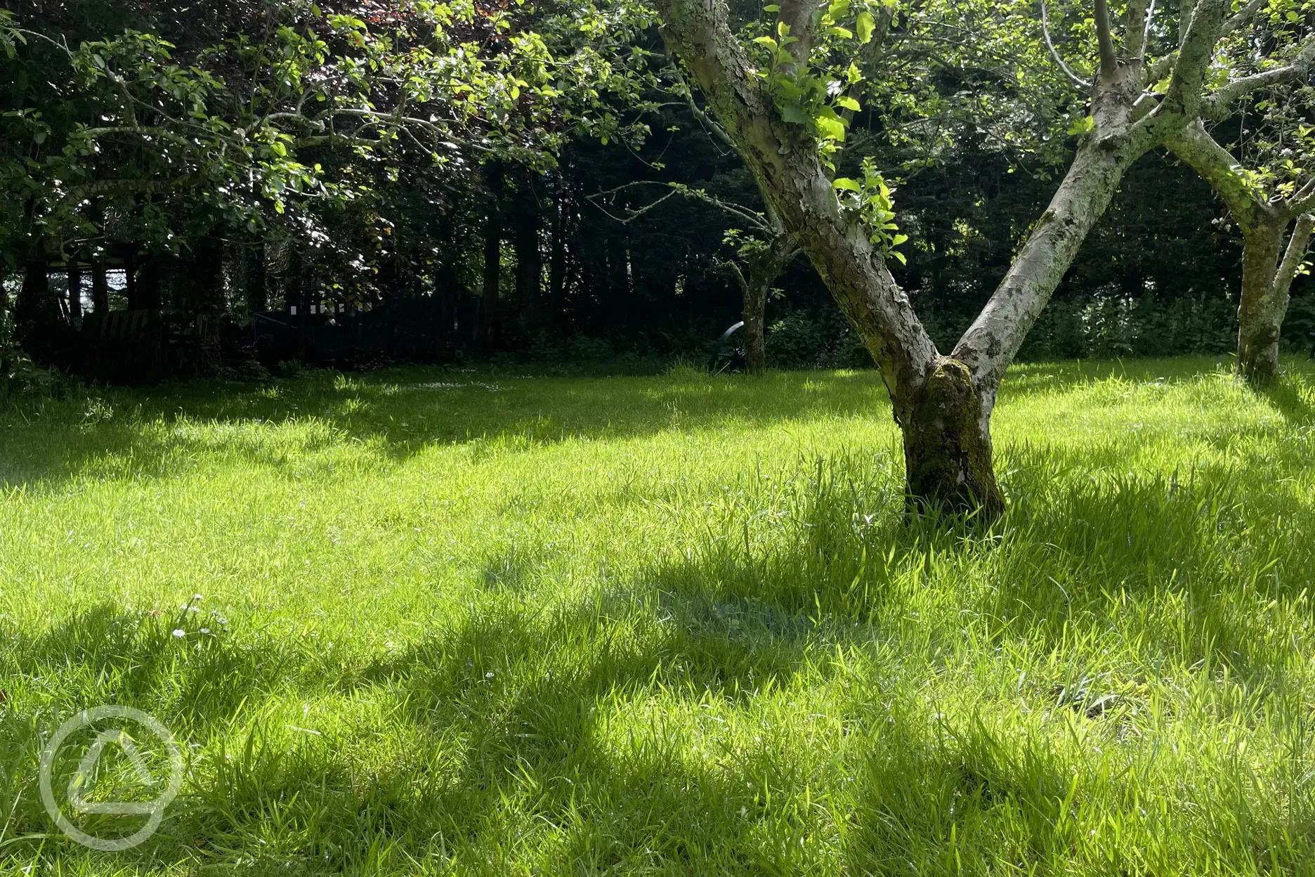 Non electric grass pitches amongst apple orchard