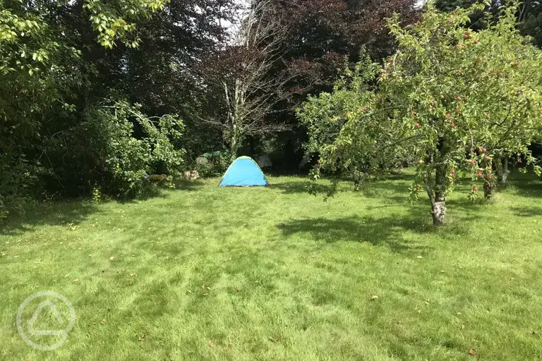 Tent pitch