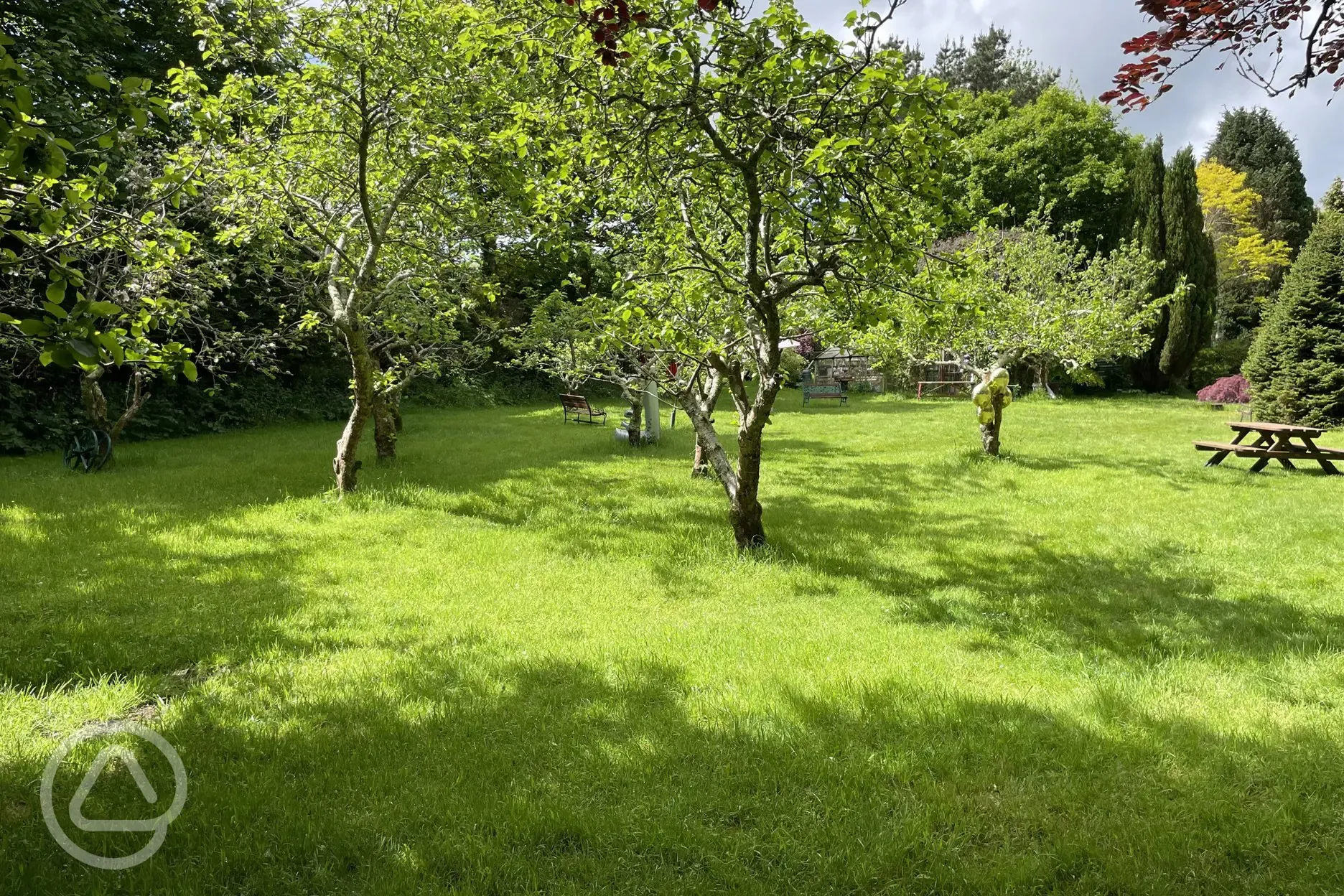 Non electric grass pitches amongst apple orchard