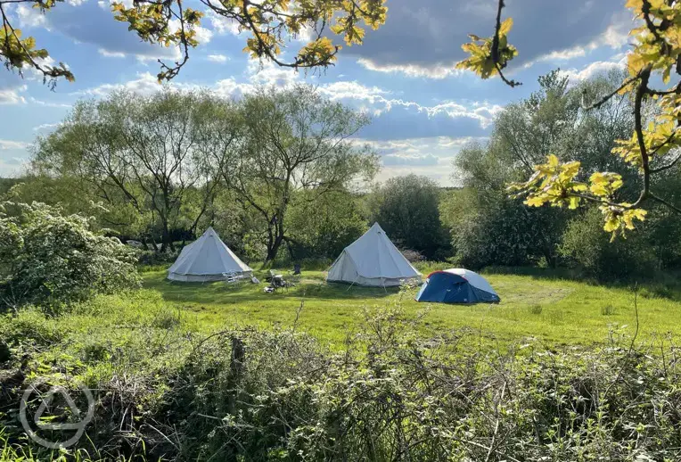 Our 5 metre Bell Tents