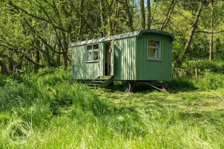 Meadow shepherd's hut 