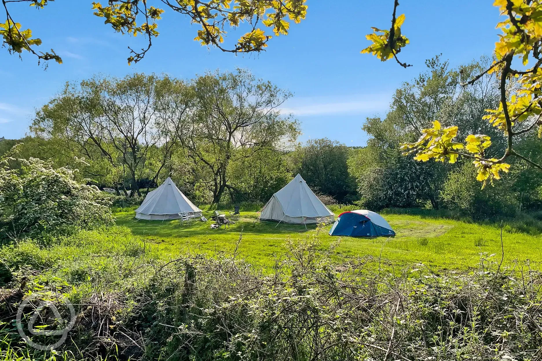 Non electric grass tent pitches 