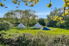 Non electric grass tent pitches 