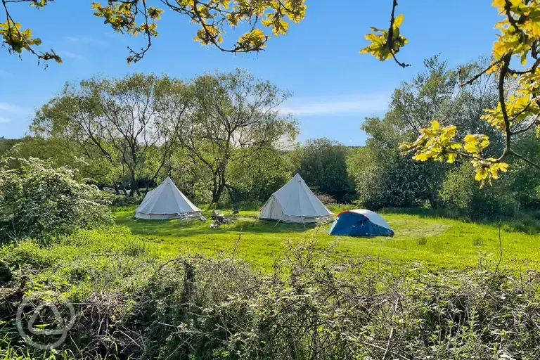 Non electric grass tent pitches