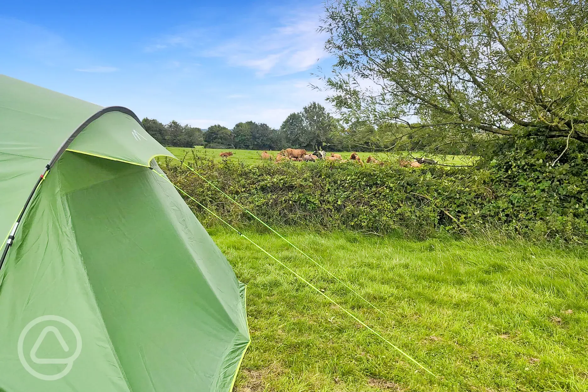 Non electric grass tent pitches 