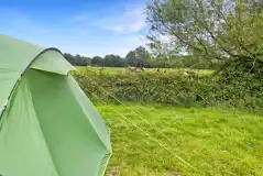 Non electric grass tent pitches 