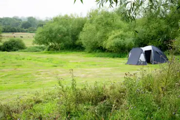 Non electric grass tent pitches 