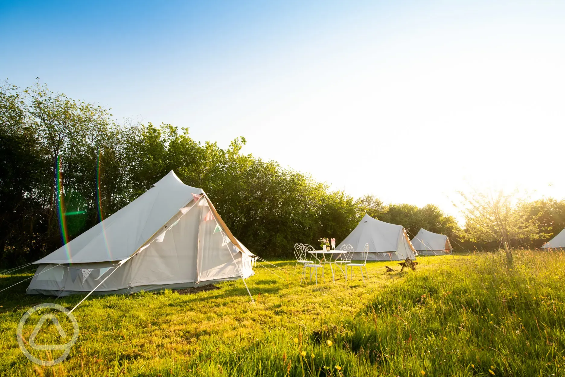 Bell tents in the orchard