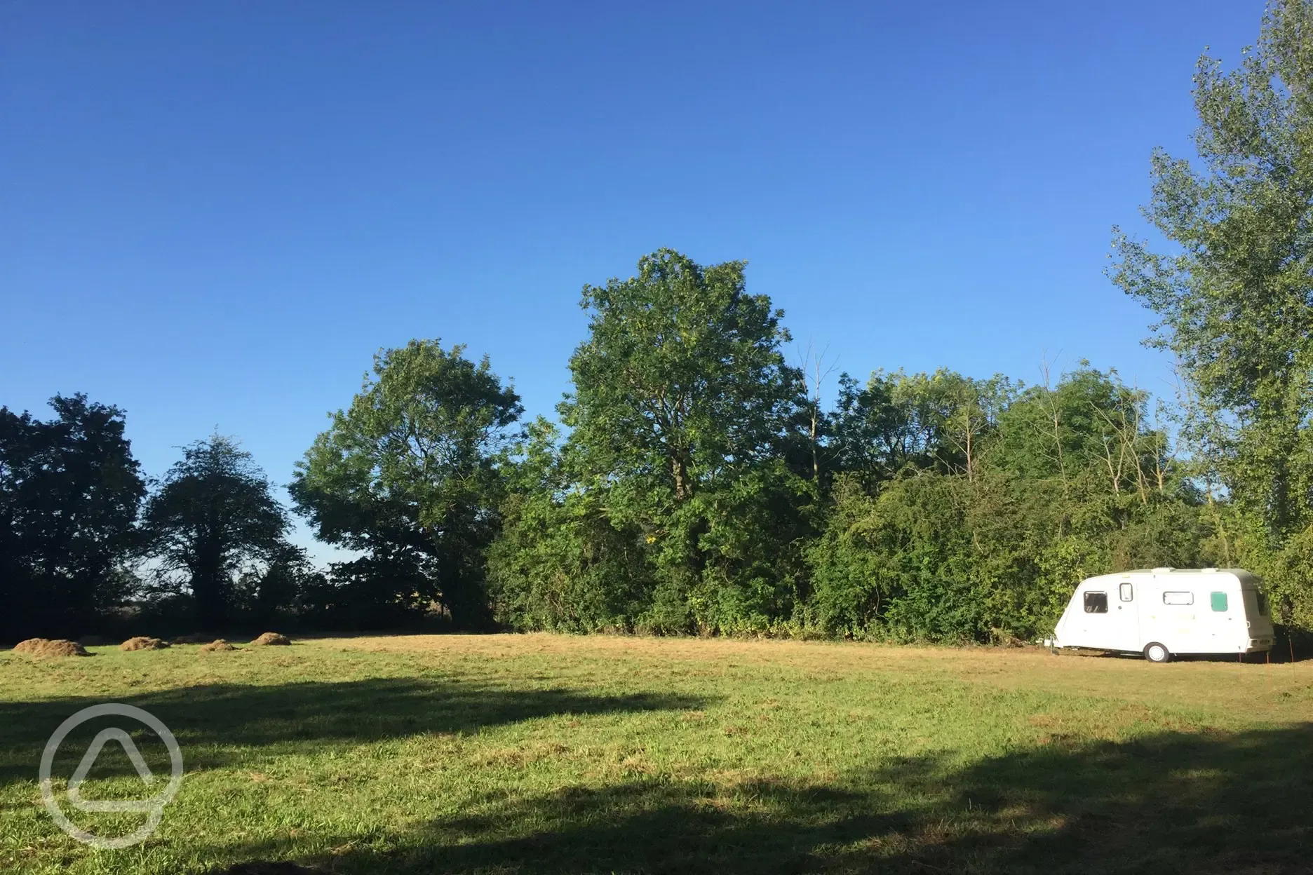 Large grassy pitches. Mature Ash tres and Hawthorne hedges.