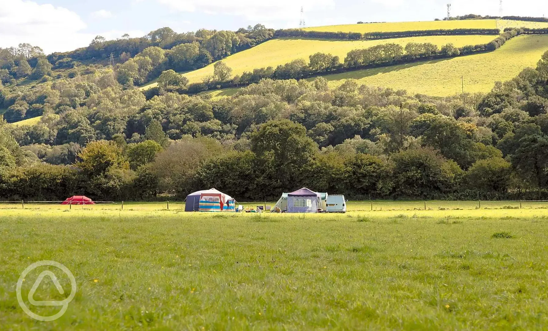 Wild grass pitches