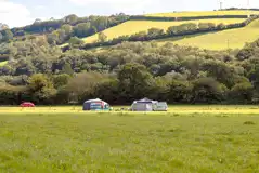 Wild grass pitches