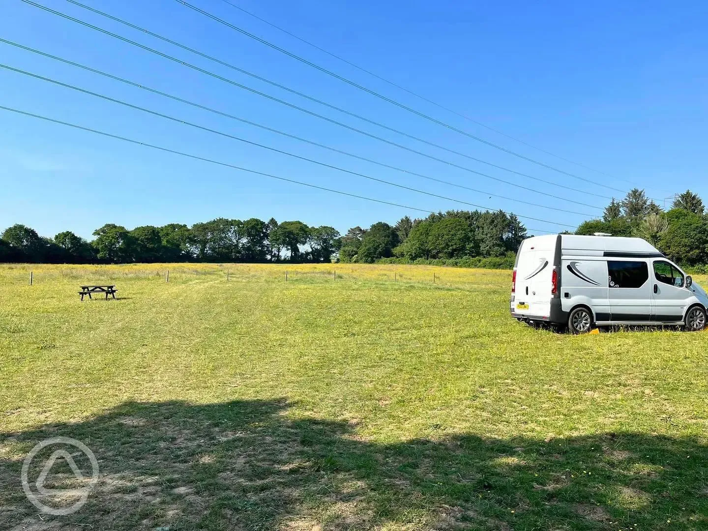 Wild grass pitches