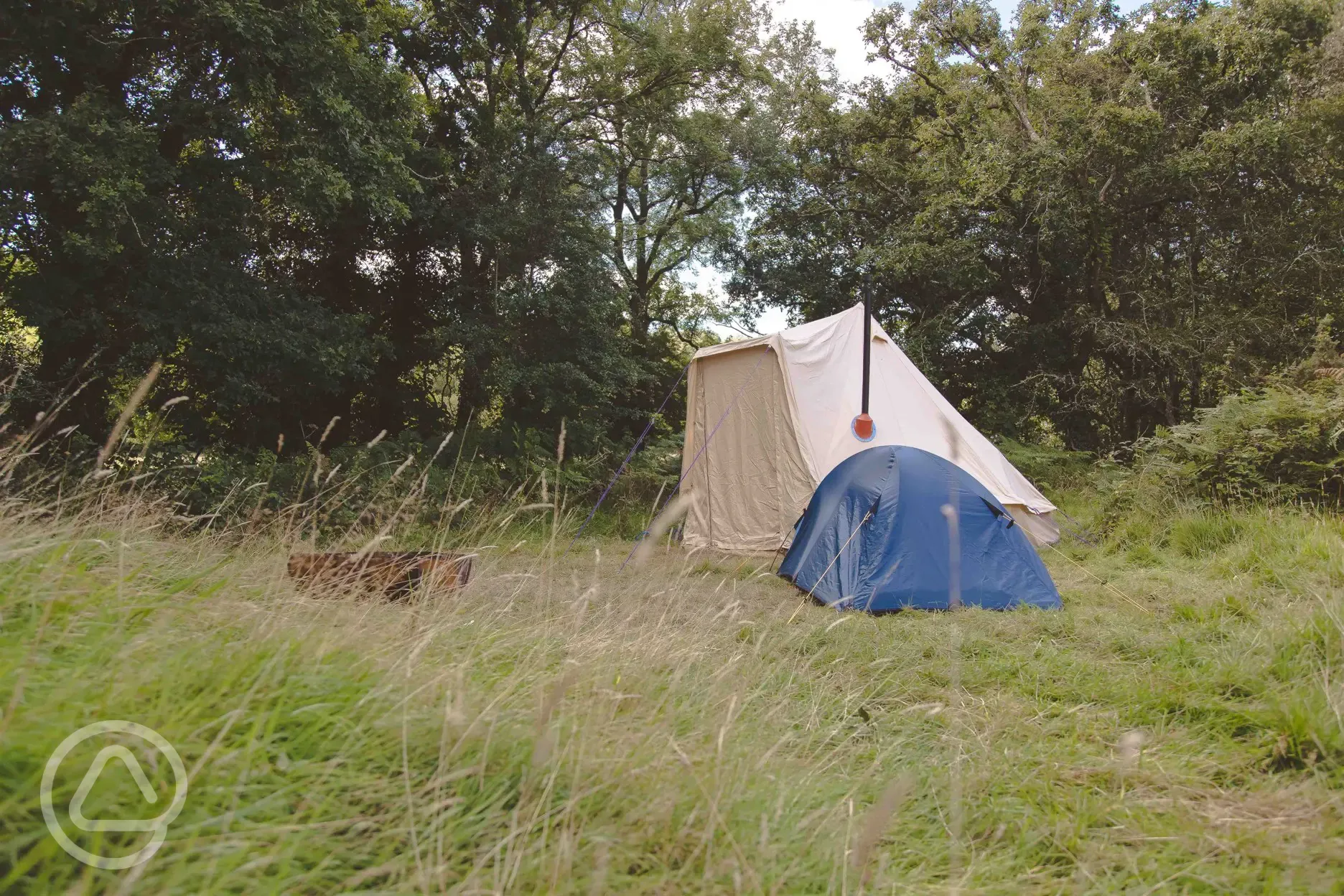 Wild grass pitches