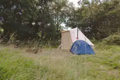 Wild grass pitches