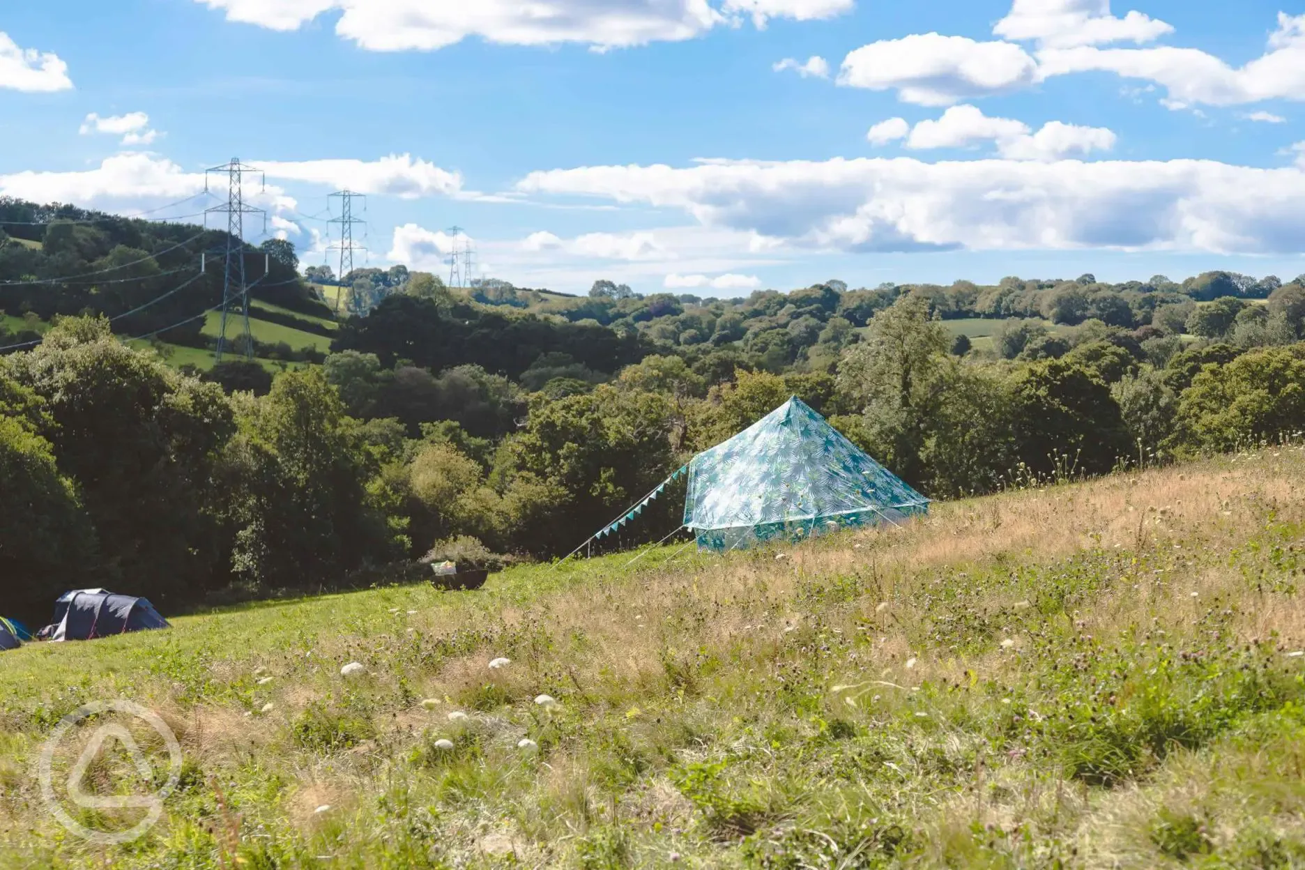 Wild grass pitches