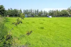 Grass pitches