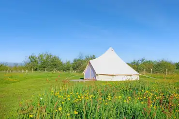 Bell tent at Moss Rose Campsite 