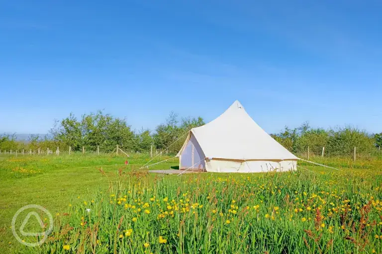 Bell tent at Moss Rose Campsite 