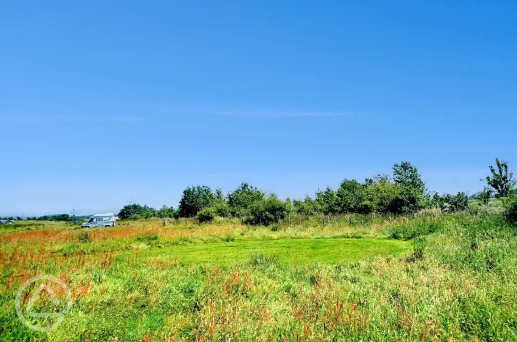 Grass pitches