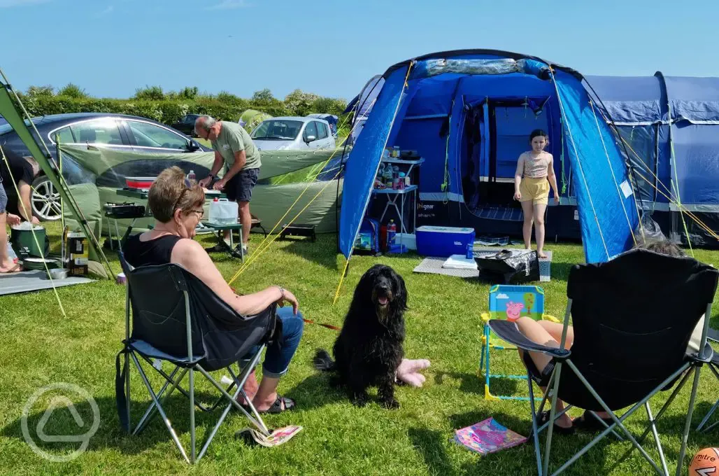 Non electric grass pitches for tents with space to play