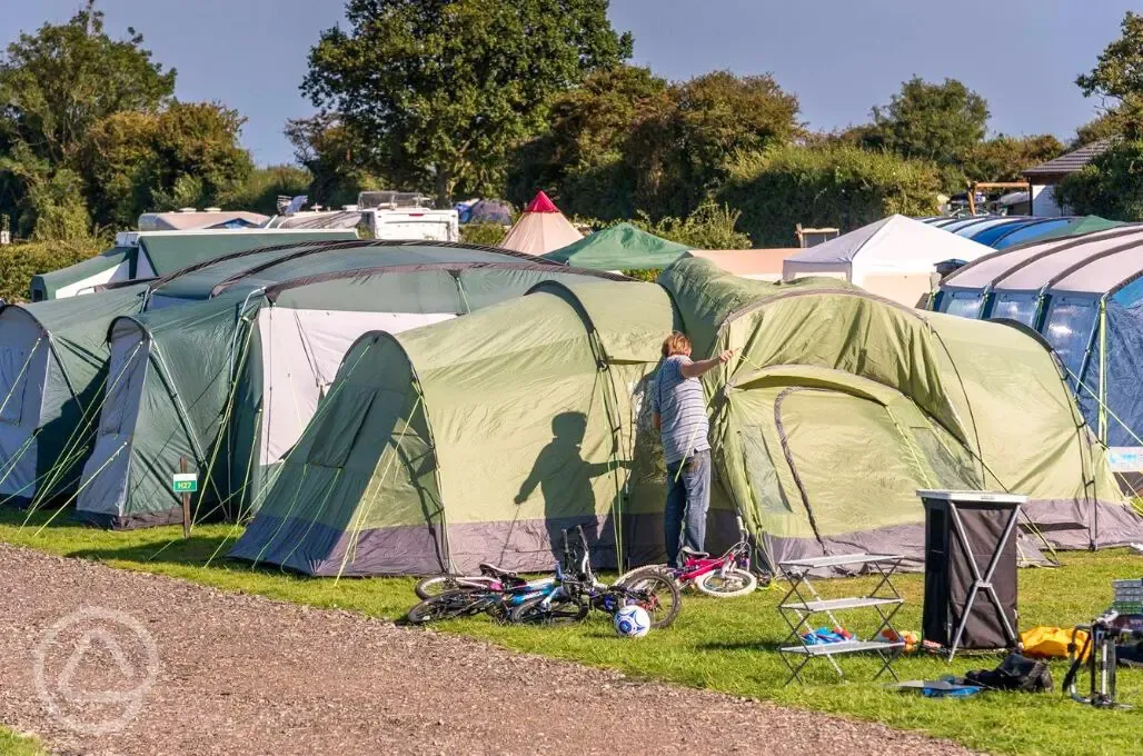 Electric hardstanding and grass pitches