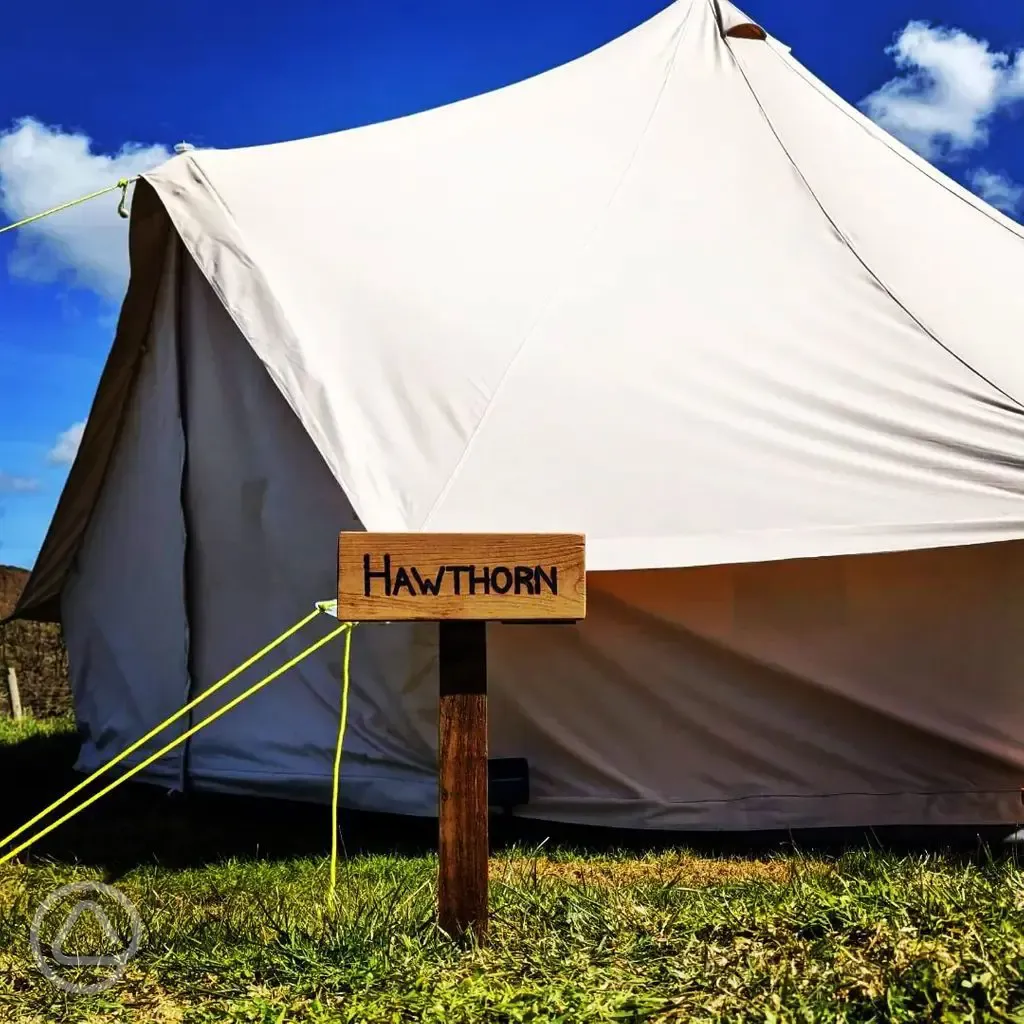 Hawthorn bell tent