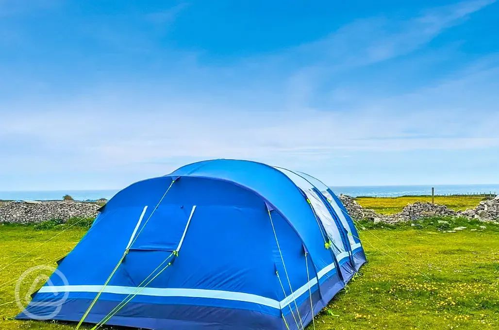 Grass pitches with sea views