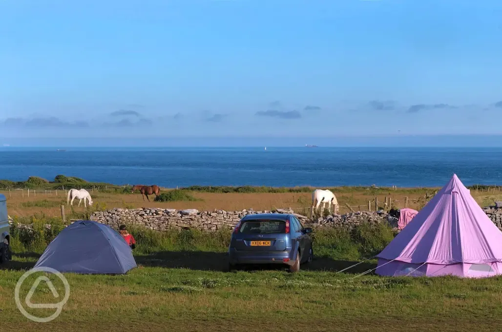 Grass pitches with sea views 