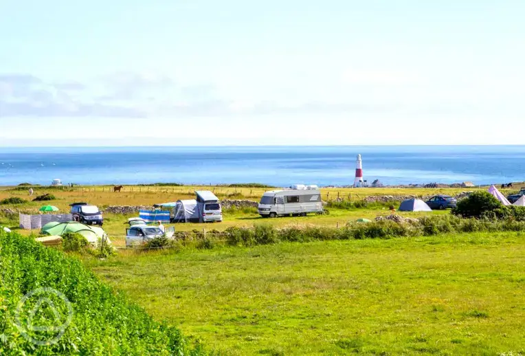 Grass pitches with sea views 