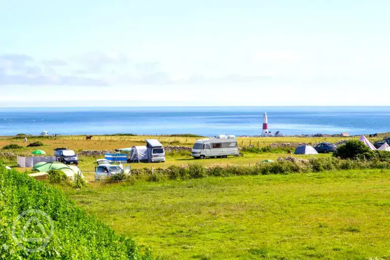 Grass pitches with sea views 