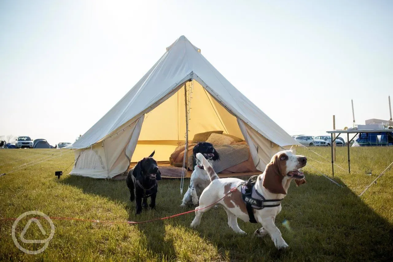 Non electric grass pitches